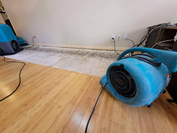 Professional Water Extraction technician working in Lincoln, ND